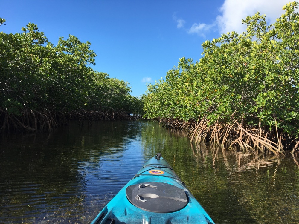 John Pennekamp Kayaking, Cycling, and exploring Key Largo VeganRV