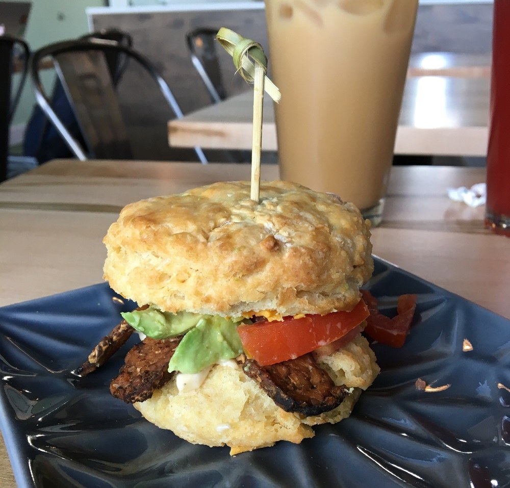 Hiking and Biking at O'Leno State Park in Florida