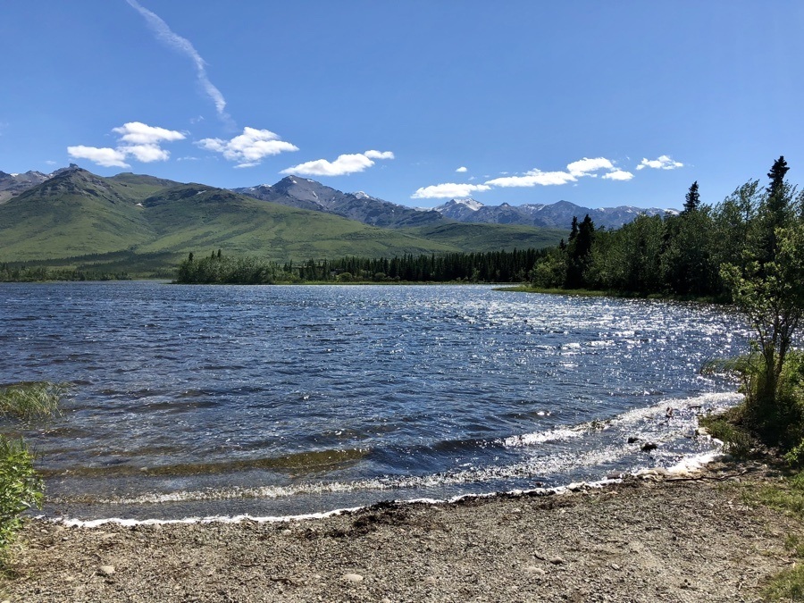 Free Camping in Healy, Alaska VeganRV