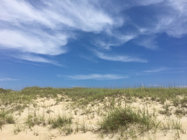 Next stop in the Outer Banks - Frisco Campground | VeganRV